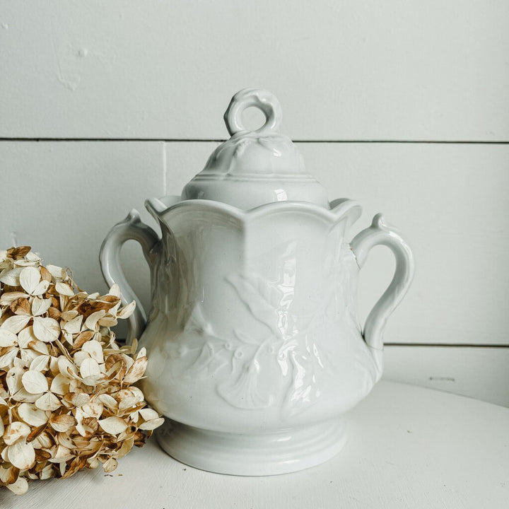 TWO HANDLED SUGAR BOWL WITH LID