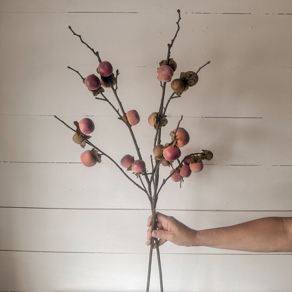 PERSIMMON BRANCH