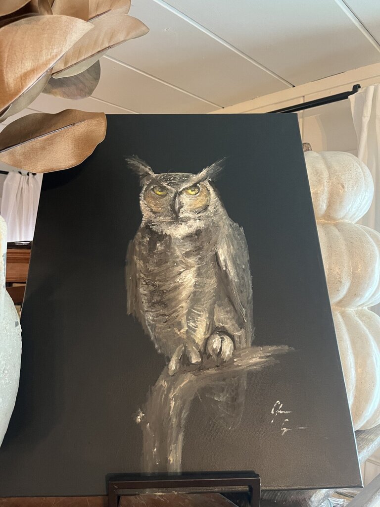 Mr. Owl 24" X 18"