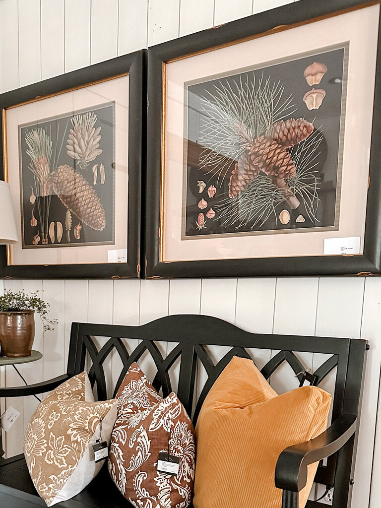 PINE CONE FRAMED PRINT