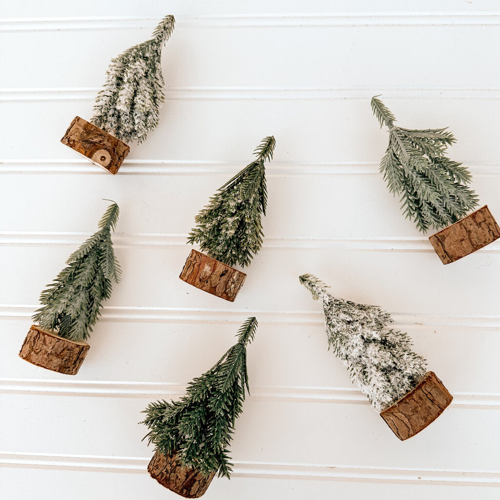 Evergreen Tree
