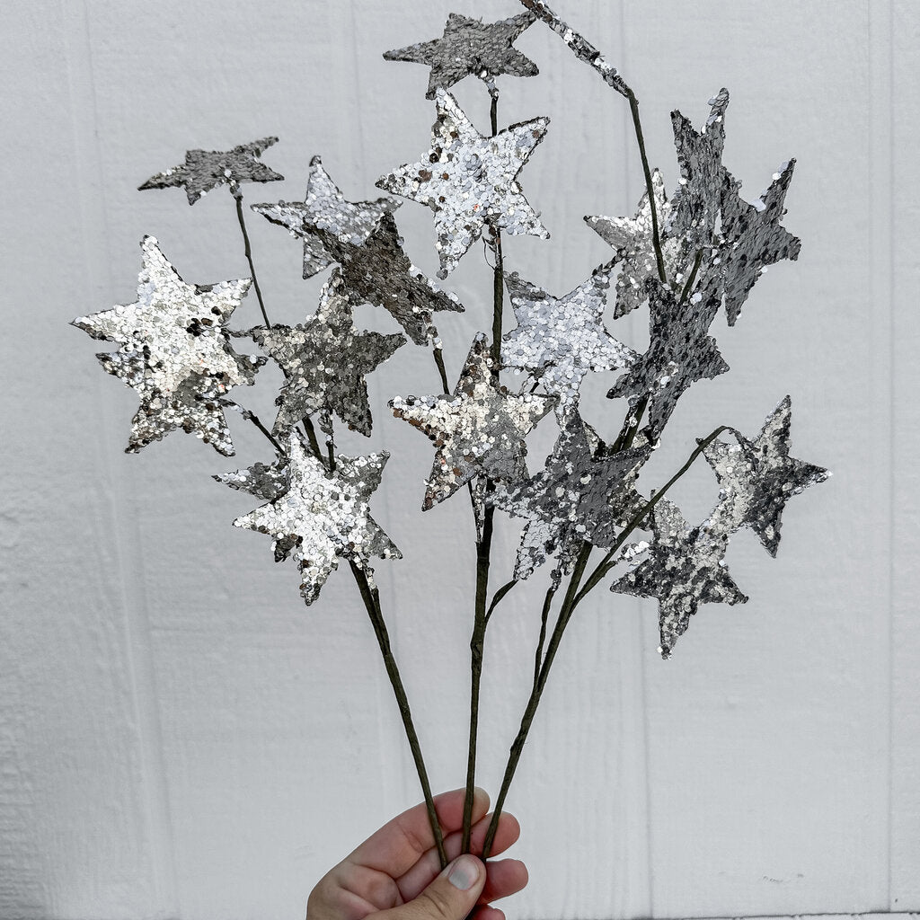 Paper Star Spray 22"T x can be up to 10" wide