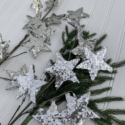 Paper Star Spray 22"T x can be up to 10" wide