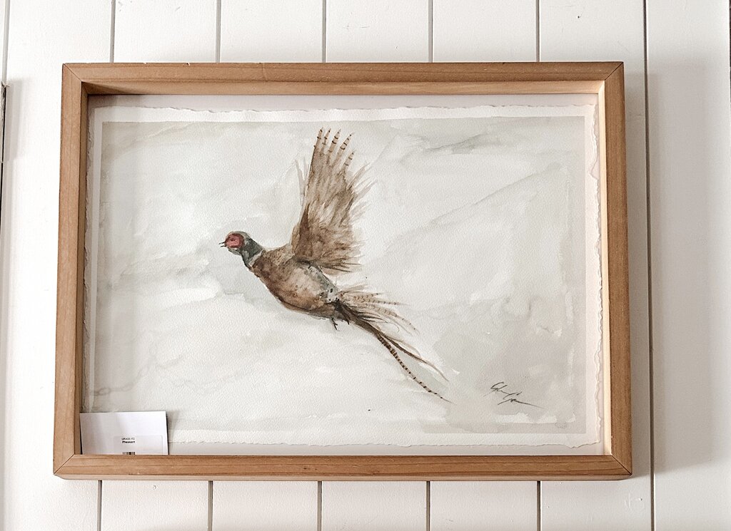 Pheasant