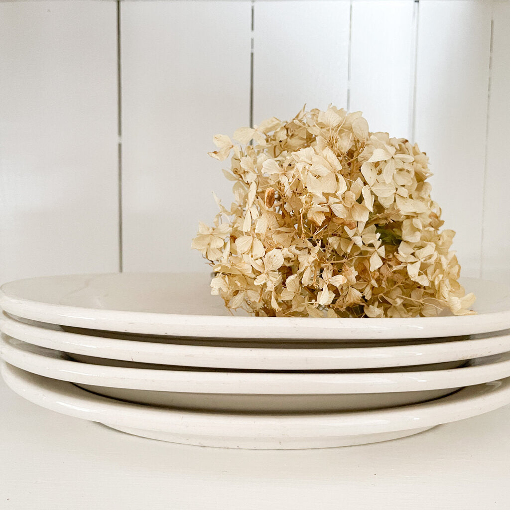 SET OF 4 BUFFALO CHINA OVAL DISHES 11"