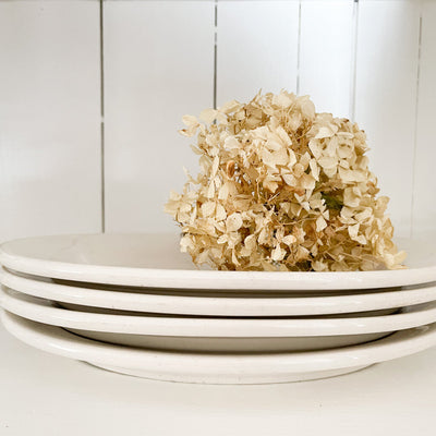 SET OF 4 BUFFALO CHINA OVAL DISHES 11"