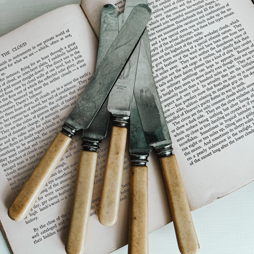 BAKELITE BUTTER KNIVES (set/5)